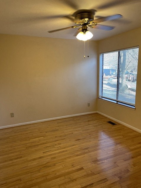 Gallery Photo 15